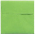 LUXPaper Square Invitation Envelopes | Peel & Press | 7" x 7" | Limelight Green | 80lb. Text | 50 Qty