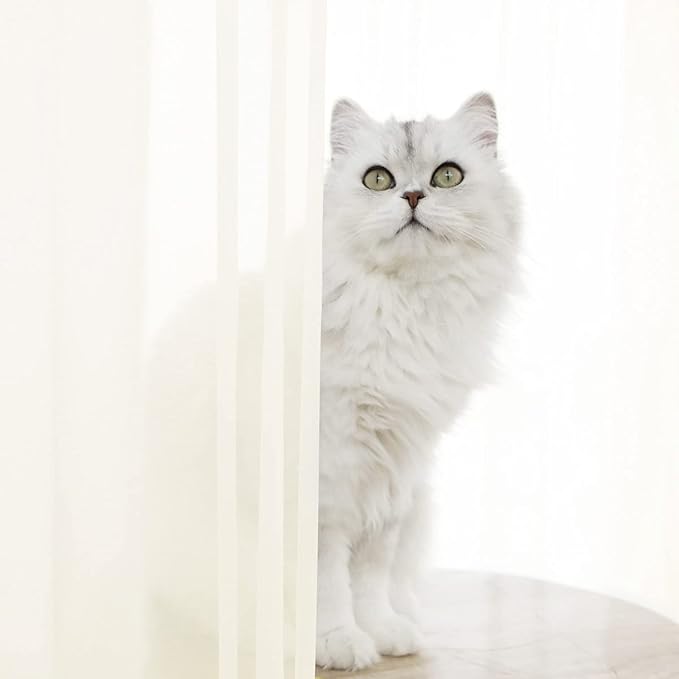 Window Beige Sheer Curtains 60 Inches Width 95 Inches Long 2 Panels Sheer Curtains Clear Curtains Basic Rod Pocket Panel for Home/Living Room/Bedroom/Kids Room
