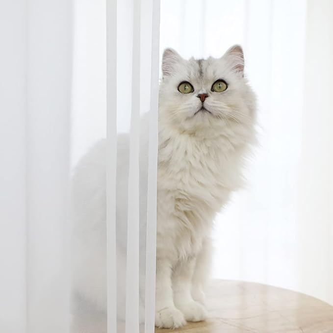 Window White Sheer Curtains 60 Inches Width 72 Inches Long 2 Panels Sheer Curtains Clear Curtains Basic Rod Pocket Panel for Home/Living Room/Bedroom/Kids Room