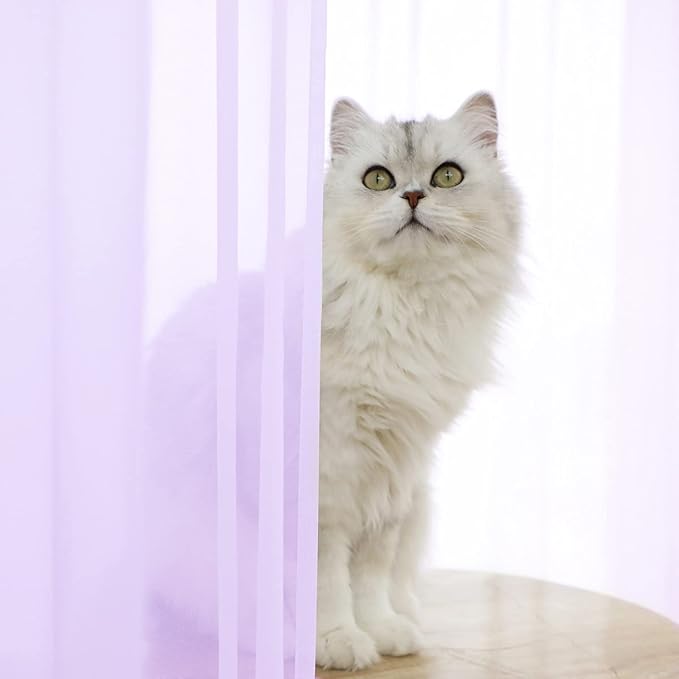 Purple Sheer Curtains 60 Inches Width 95 Inches Long 2 Panels Clear Basic Rod Pocket for Home Living Room Bedroom Kids Room Yard Patio Parlor Sliding Window