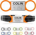 Personalized Dog & Cat ID Tags - Engraved Dog Name Tags - Slide On, Silent & Customizable for Small, Medium & Large Pets