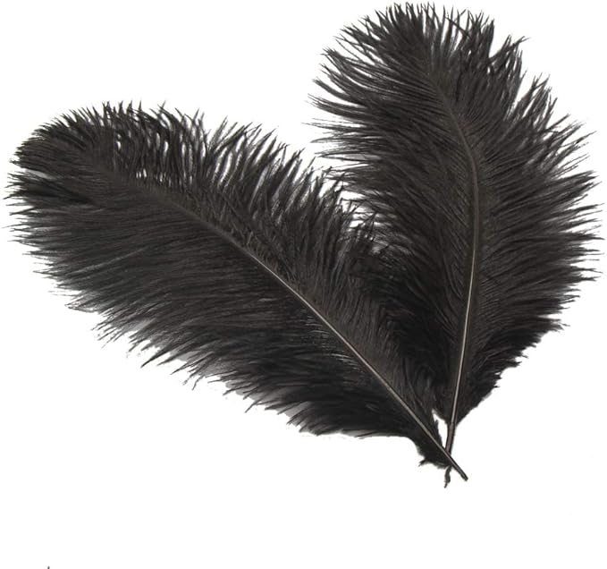 Sowder 8-10inch(20-25cm) Ostrich Feathers Plume for Wedding Centerpieces Home Decoration Pack of 10pcs(Black)