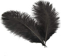 Sowder 8-10inch(20-25cm) Ostrich Feathers Plume for Wedding Centerpieces Home Decoration Pack of 10pcs(Black)