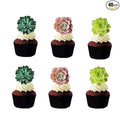 24pcs Edible Cupcake toppers Succulents Hawaiian Party Cake Summer Decoration,Not 3D …