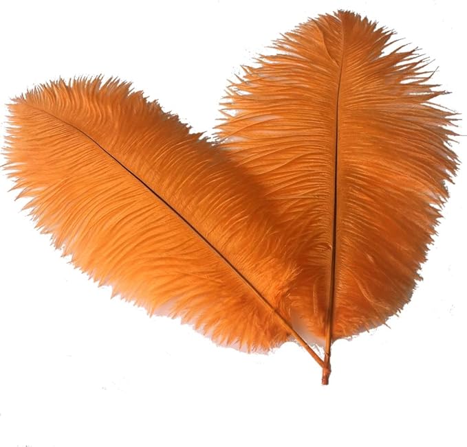 Sowder 10-12inch(25-30cm) Ostrich Feathers Plume for Wedding Centerpieces Home Decoration Pack of 10pcs(Orange)