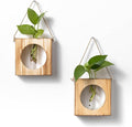 · GARDEN REPUBLIC · Propagation Stations Set of 2 - Propagation Vases for Plants - Hanging Wooden Wall Planter and Glass Test Tubes - Indoor Plant Holder, Hydroponic Decor