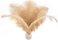 Ballinger Large Champagne Ostrich Feathers - 24pcs 12-14inch Boho Feathers for Vase and Home Decor Wedding Party Centerpieces