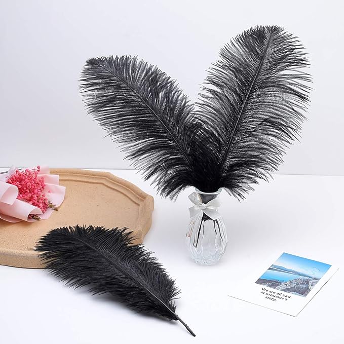 Ballinger Black Large Ostrich Feathers - 12Pcs 14-16inch Large Feathers for Vase, Wedding Party Centerpieces and Halloween Home Decor
