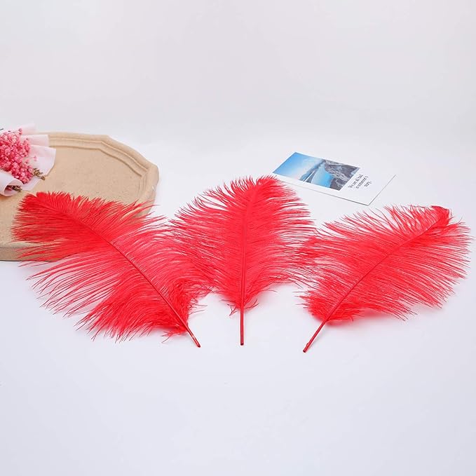 Ballinger Red Large Ostrich Feathers - 12Pcs 14-16inch Large Feathers for Vase,Wedding Party Centerpieces and Home Decor