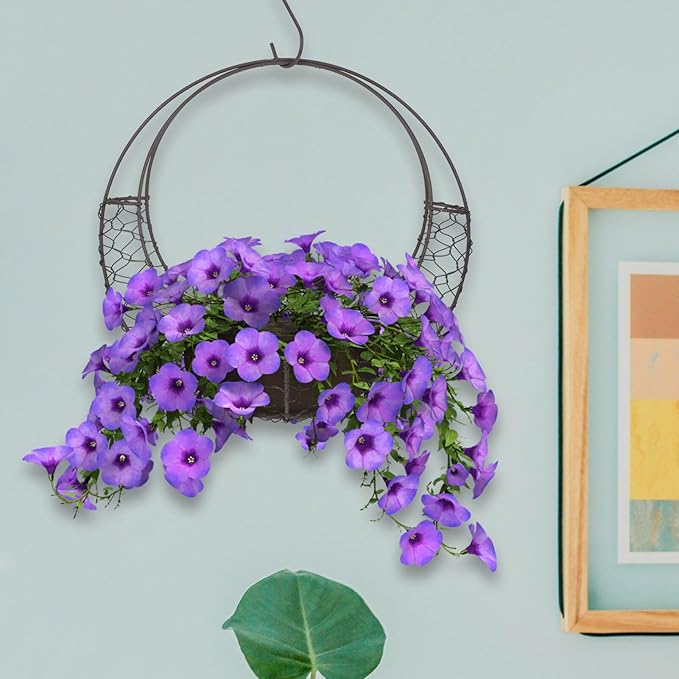 Air Plants Holders Wire Wreath Frame Hanger, 11 inch Moon Shape Wreath Form Hanging Plant Holder Metal Hanging Orchid Planter Plant Basket Holder, Succulent Wire Wreath Frame with Hook (Pack of 2)