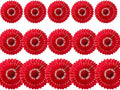 15pcs 6'' 8'' 10'' Red Paper Fans Decorations Round Tissue Paper Fans Hanging Paper Fans Set Party Paper Honeycomb Fans Decorations for Party Birthday Wedding Events Red Pack