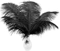 24pcs Natural Black Ostrich Feathers 10-12inch (25-30cm) for Wedding Party Centerpieces，Flower Arrangement and Home Decoration.