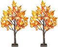 24 Inch Fall Lighted Maple Tree, 2FT Fall Tree with 36 LEDs, 6 Acorns, Timer Battery Operated, Thanksgiving Decorations Table Lights Tree for Autumn Wedding Party Gift Harvest Home