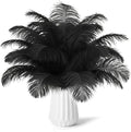 NEWONG 30pcs Black Ostrich Feathers Natural Bulk 11-14inch(28-35cm) Vase Craft Wedding Home Party Centerpieces Christmas Day Decoration
