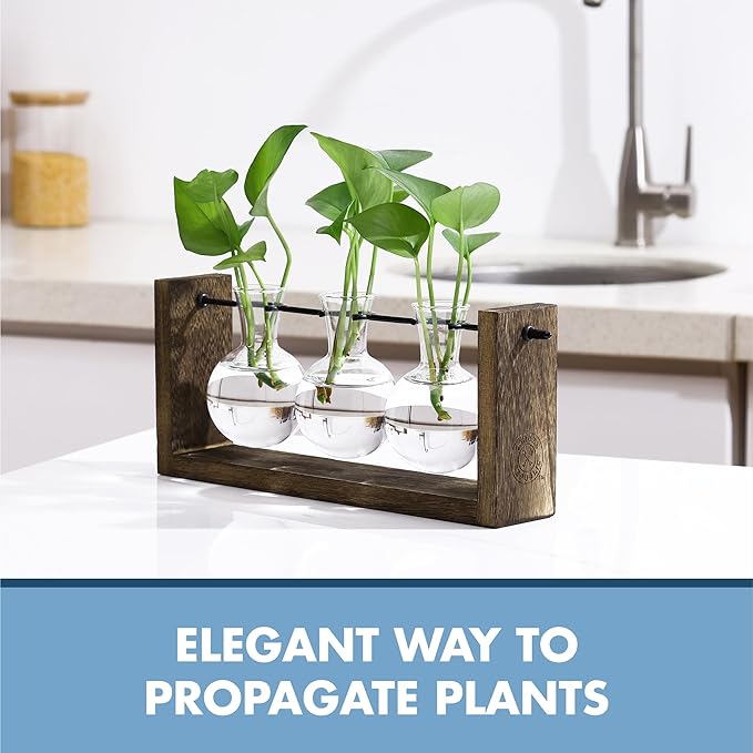 Garden Republic Plant Propagation Station, Wooden Stand with Propagation Tubes, Hanging Plant Glass Tubes Station, Elegant Home Decor, Easy Water Changes, Bamboo Color