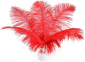 Ballinger Red Large Ostrich Feathers - 12Pcs 14-16inch Large Feathers for Vase,Wedding Party Centerpieces and Home Decor
