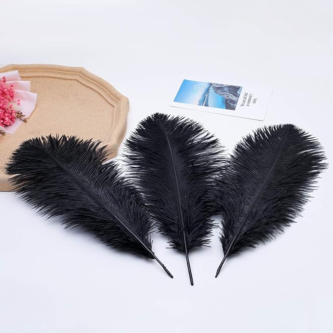 Ballinger Black Ostrich Feathers Bulk - 24Pcs 8-10inch Feathers for Crafts,Gatsby and Halloween Party Centerpieces
