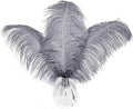 HAPPY FEATHER 16-18 inch Gray Ostrich Feathers Craft for Wedding Party Centerpieces Home Decoration DIY Craft Pack of 10