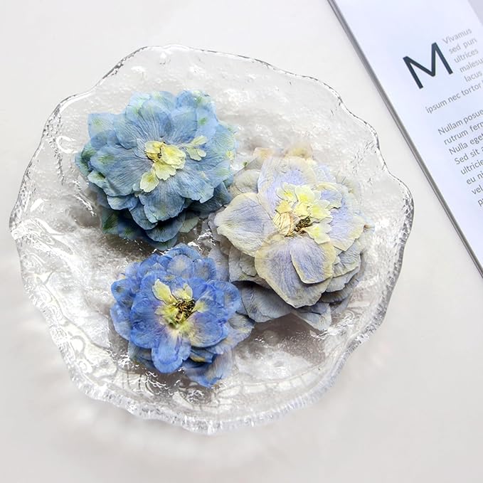 48 Pcs Dried Pressed Flowers for Resin DIY Art Crafts Natural Dry Sakura Larkspur Floral Epoxy Jewelry Real Flower Decor Cakes Phone Cases Candles Handmade Soap