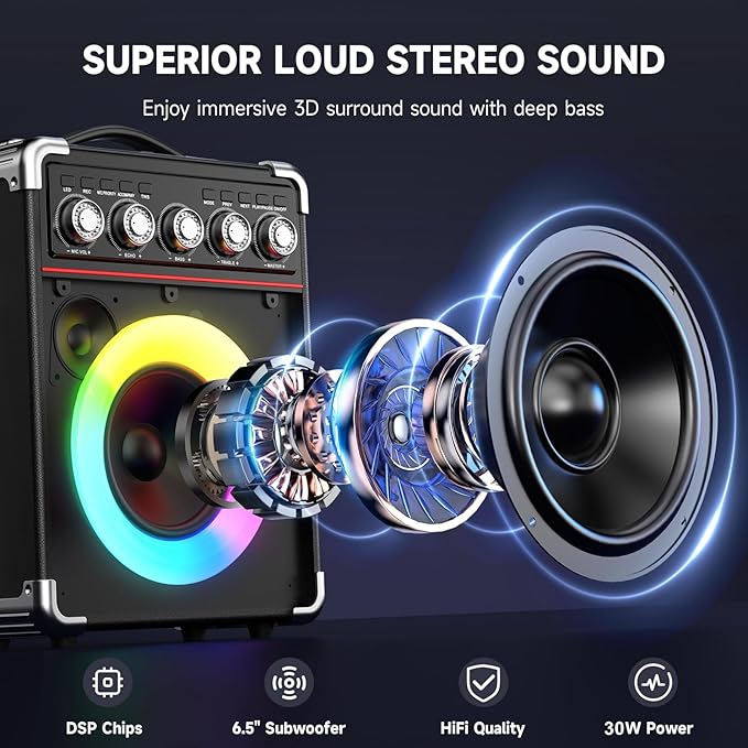 Karaoke Machine with 2 Microphones: HWWR Portable Karaoke Machine for Adults Kids, Party Bluetooth Speaker with Bass/Treble Adjustment, PA System with Remote Control/LED Lights, Support REC/USB/AUX