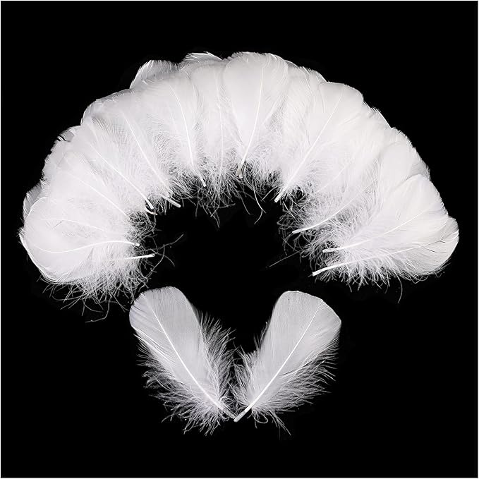 THARAHT 360pcs White Feathers 3-5 inch Craft Feathers Assorted Rainbow Colors Feathers for Kids for DIY Handmade Wedding Home Party Decorations Natural Feather