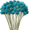 Dried Flower Tiffany Blue Globe Amaranth with Wheat Straw Natural - 40PCS Bouquet for Vase Home Decor Party DIY Arrangement