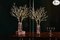 Fudios Lighted Branches with Timer Battery Operated 30IN Tall Birch Twig Lights for Vase 100 LED Outdoor and Indoor Holiday Winter Decor 2Set