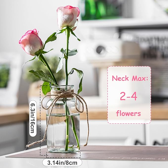 Vintage Glass Vases, Mason Jars for Centerpieces, Farmhouse Mason Jar Vase with Rope Design, Centerpiece Vases for Table, Wedding & Home Decor (6)