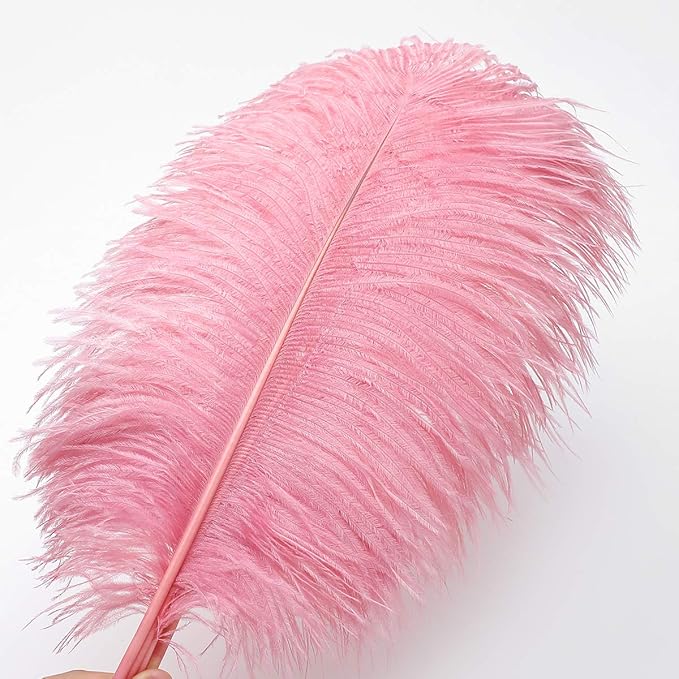 Ballinger Lotus Pink Ostrich Feathers - 24Pcs 12-14inch Large Feathers Bulk for Vase,Party Centerpieces,Wedding and Home Decor