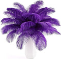 THARAHT 24pcs Purple Ostrich Feathers Natural Bulk 10-12Inch 25cm-30cm for Wedding Party Centerpieces Easter Gatsby and Home Decorate Ostrich Feather