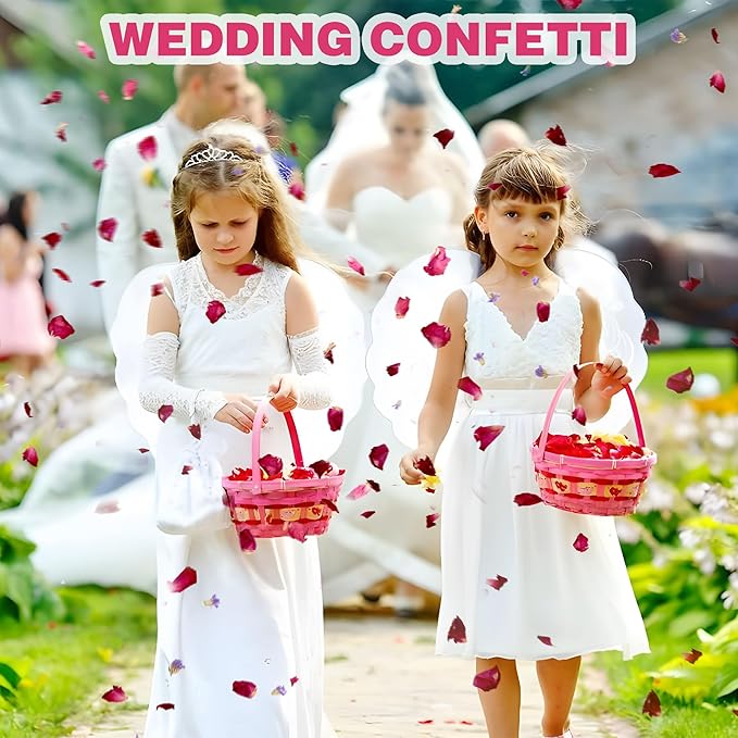 20 Pack Biodegradable Confetti, Dried Flower Petals,Biodegradable Flower Petals,Wedding Send-Off Ideas for Wedding Proposal Party Valentine's Day Decor Flower Girls (Red Rose & Lavender & Marigold)
