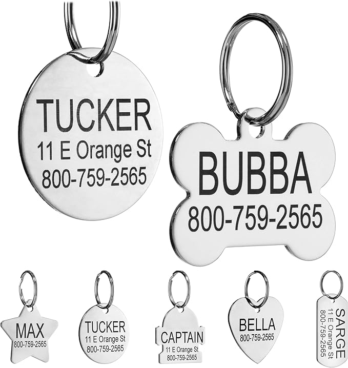 Providence Engraving Custom Engraved Stainless Steel Pet ID Tags - Personalized Front and Back Identification, for Large or Small Cats and Dogs, Bone, Small