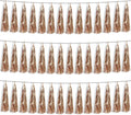 3P Champagne Gold Foil Fringe Metallic Tassel Streamers Banner Tassel Garland for Parade Floats, Bachelorette, Wedding, Birthday, Halloween, Christmas, Bridal/Baby Shower Party Decorations