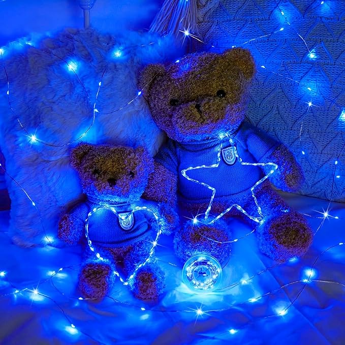 24 Pack LED Fairy Lights Battery Operated 7Ft 20Led Mini String Lights Waterproof Christmas for Mason Jars Bedroom DIY Party Wedding Christmas Decor Blue