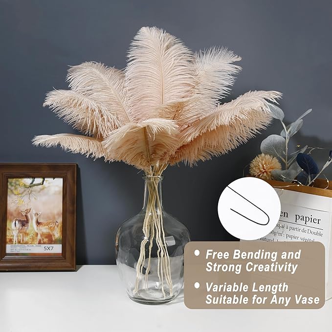Holmgren Champagne Large Ostrich Feathers - 20pcs Making Kit 22 Inch Boho Feather Decor for Vase, Floral Arrangement, Wedding Party Centerpieces Home Decorations（Champagne）