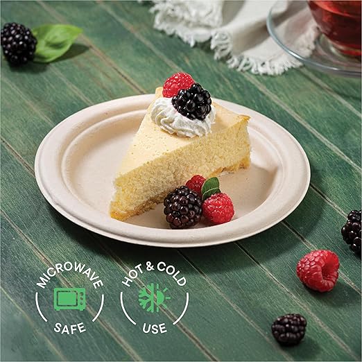 100% Compostable Paper Plates 9 Inch [500 Count] Heavy-Duty Dinner Plates - Natural Brown Color Unbleached Bagasse - Eco-Friendly Disposable Biodegradable Sugarcane Plates - [Bulk Case 4/125 Pack]