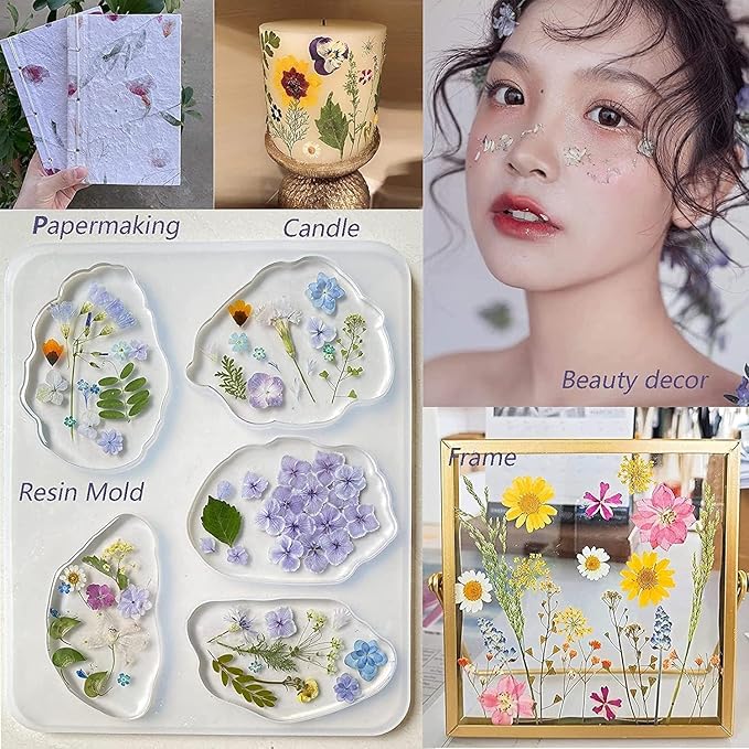 12Types Real Dried Pressed Flowers Sunflowers for Crafts Resin Jewelry Making, Fall Floral Cake Decorations-Orange
