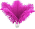 Ballinger Fuchsia Large Ostrich Feathers - 12Pcs 14-16inch Large Feathers for Vase,Theme Party Centerpieces and Holiday Home Decor
