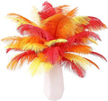 THARAHT Red Orange Yellow Ostrich Feathers 12pcs Natural Bulk 10-12Inch 25cm-30cm for Crafts Wedding Party Centerpieces Halloween and Home Decoration Feathers
