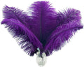 Ballinger Purple Ostrich Feathers Bulk - 24Pcs 10-12inch Feathers for Vase, Party Centerpieces Mardi Gras and Home Decor