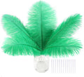 SOGUGOM Green Craft Ostrich Feathers - 30PCS 6-8 inch Mini Ostrich Feathers Kit for Kindergarten Crafts, Hats and Mardi Gras(Green)