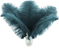 Ballinger Teal Ostrich Feathers Bulk - 24Pcs 12-14inch Feathers for Party Centerpieces,DIY Crafts and Home Decor
