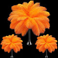 Maitys 90 Pcs Large Natural Ostrich Feathers Bulk 14-16 Inch (35-40cm) 12-14 Inch (30-35cm) 10-12 Inch (25-30cm) Ostrich Feathers Plumes for Centerpieces Wedding(Orange)