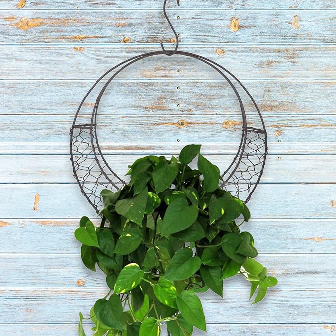 Air Plants Holders Wire Wreath Frame Hanger, 11 inch Moon Shape Wreath Form Hanging Plant Holder Metal Hanging Orchid Planter Plant Basket Holder, Succulent Wire Wreath Frame with Hook (Pack of 2)
