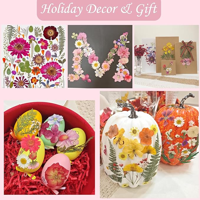 80 Pcs Dried Flowers for Crafts, Real Natural Dried Pressed Flowers in Vibrant Colors for Resin, DIY Art, Jewelry, Candle & Soap Making – Tweezers Included