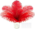 SOGUGOM Red Craft Ostrich Feathers - 30PCS 6-8 Bulk Ostrich Feathers Kit for Kindergarten Crafts, Dream Catchers and Party Centerpieces(Red)