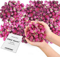 Dried Flower Thousand Days Biodegradable Confetti - Real Flower Petals for Weddings, Flower Girl Toss, Wedding Send Off Ideas, Party Table Decoration | Boxed - 8oz (0.5lbs)