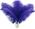 Ballinger Royal Blue Ostrich Feathers - 24Pcs 12-14inch Craft Feathers for Party Centerpieces, Flower Arrangement and Home Decor
