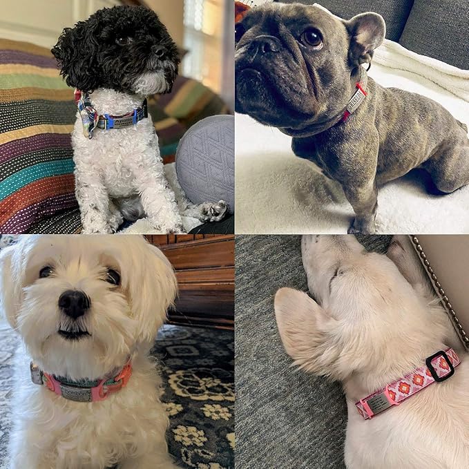 Personalized Dog & Cat ID Tags - Silent Slide On with Engraved Name - Custom for Small, Medium & Large Pets