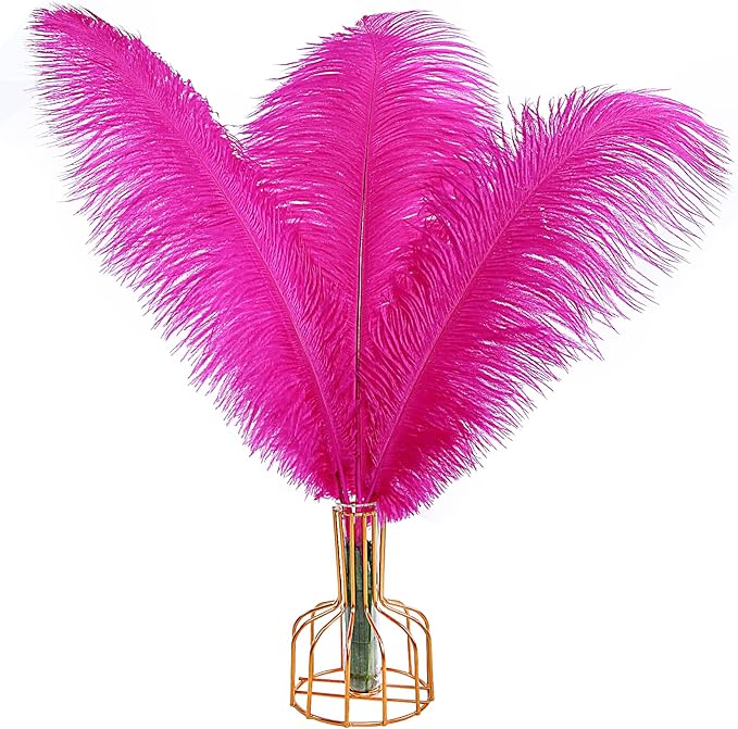THARAHT Hot Pink Ostrich Feathers 12pcs Large Natural Bulk 20-22Inch 50cm-55cm for Wedding Party Centerpieces Easter Gatsbi and Home Decoration Feathers